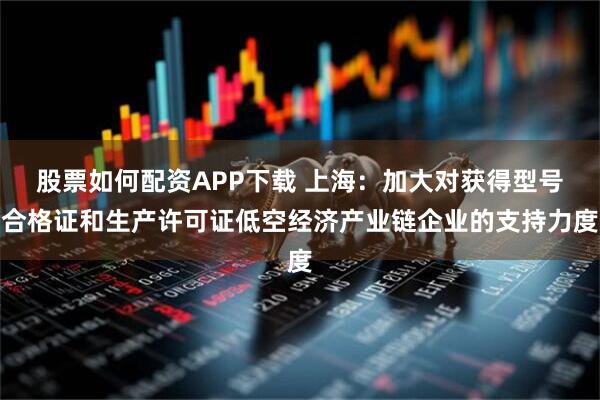 股票如何配资APP下载 上海：加大对获得型号合格证和生产许可证低空经济产业链企业的支持力度