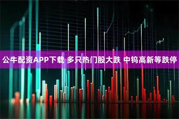 公牛配资APP下载 多只热门股大跌 中钨高新等跌停