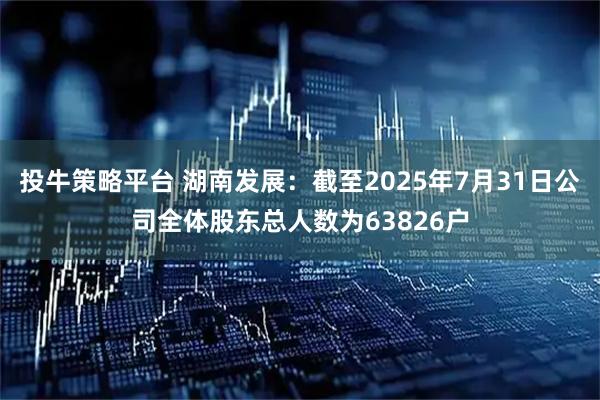 投牛策略平台 湖南发展：截至2025年7月31日公司全体股东总人数为63826户